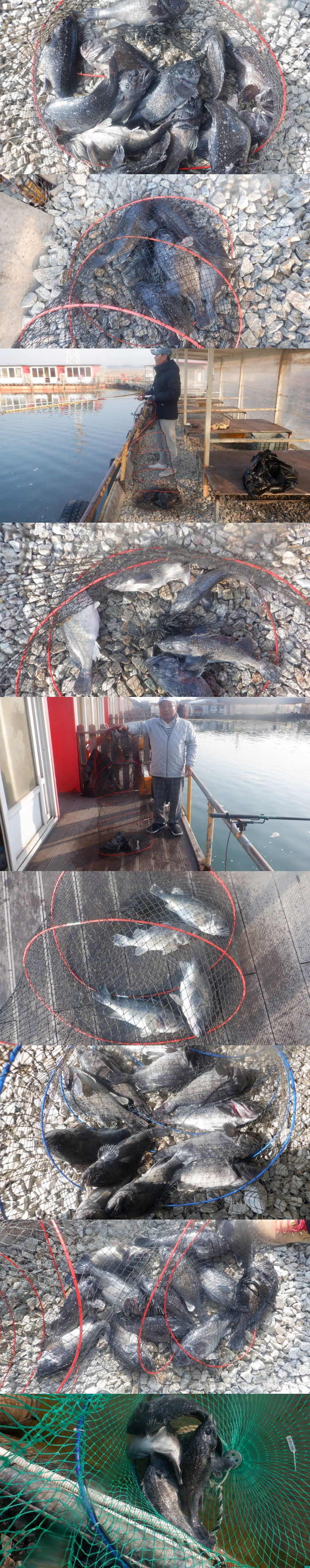 ecea6f3d6b8c0adc67f68691c087e499_1774251