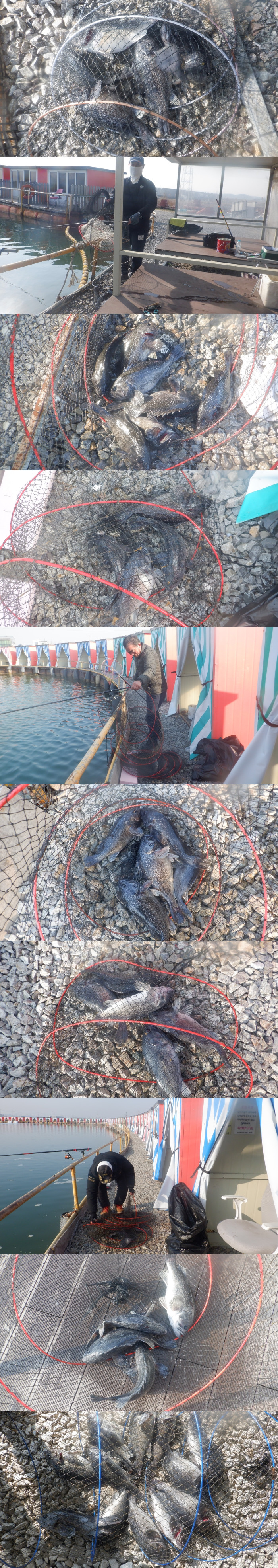 ecea6f3d6b8c0adc67f68691c087e499_1774251