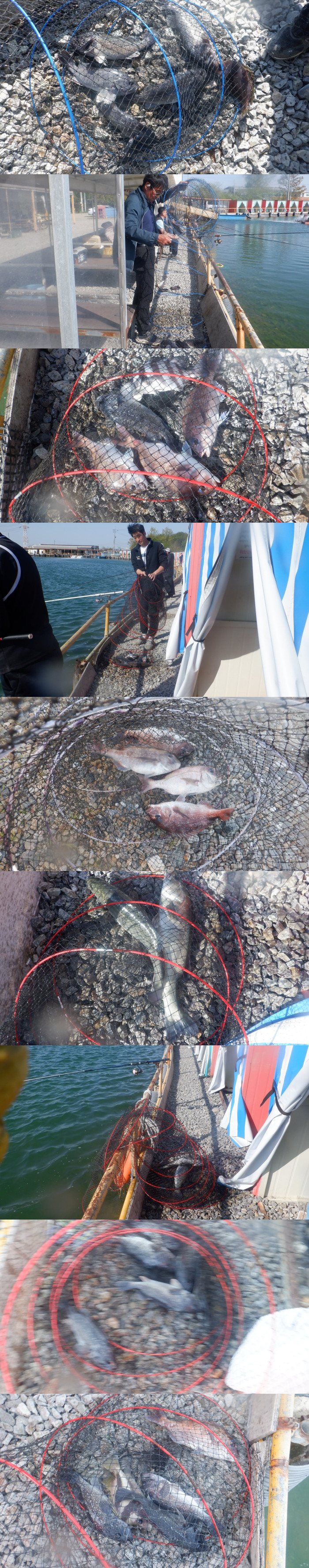 06eeae79b52b309d486460cb7491639f_1777190