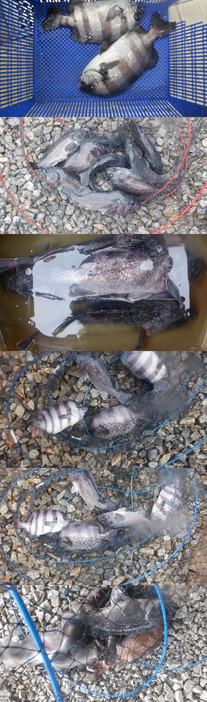 06eeae79b52b309d486460cb7491639f_1777282