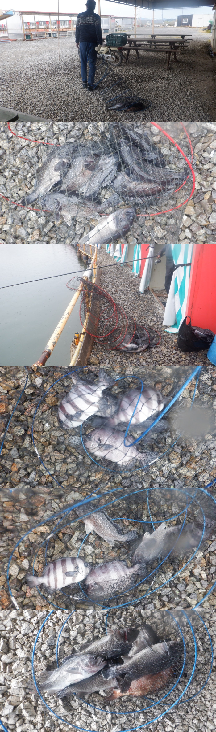 06eeae79b52b309d486460cb7491639f_1777282