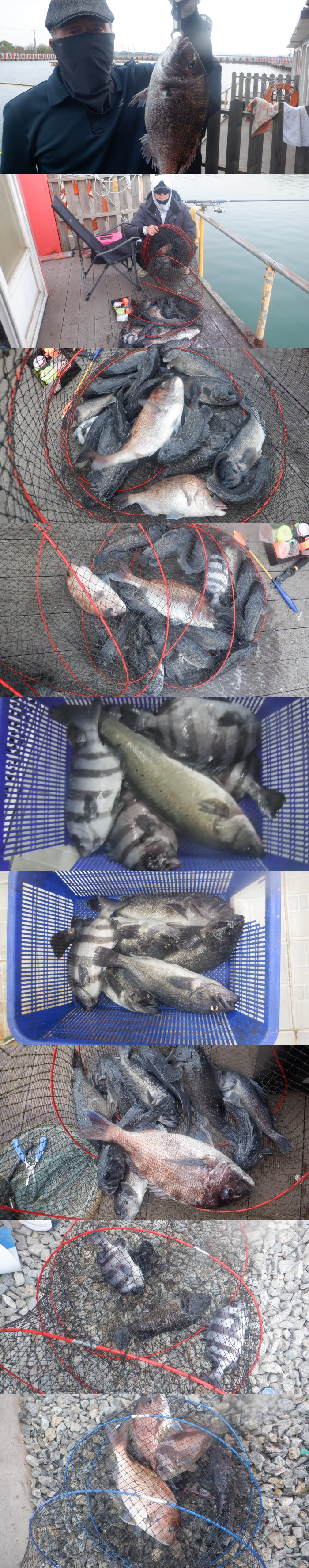 06eeae79b52b309d486460cb7491639f_1777449