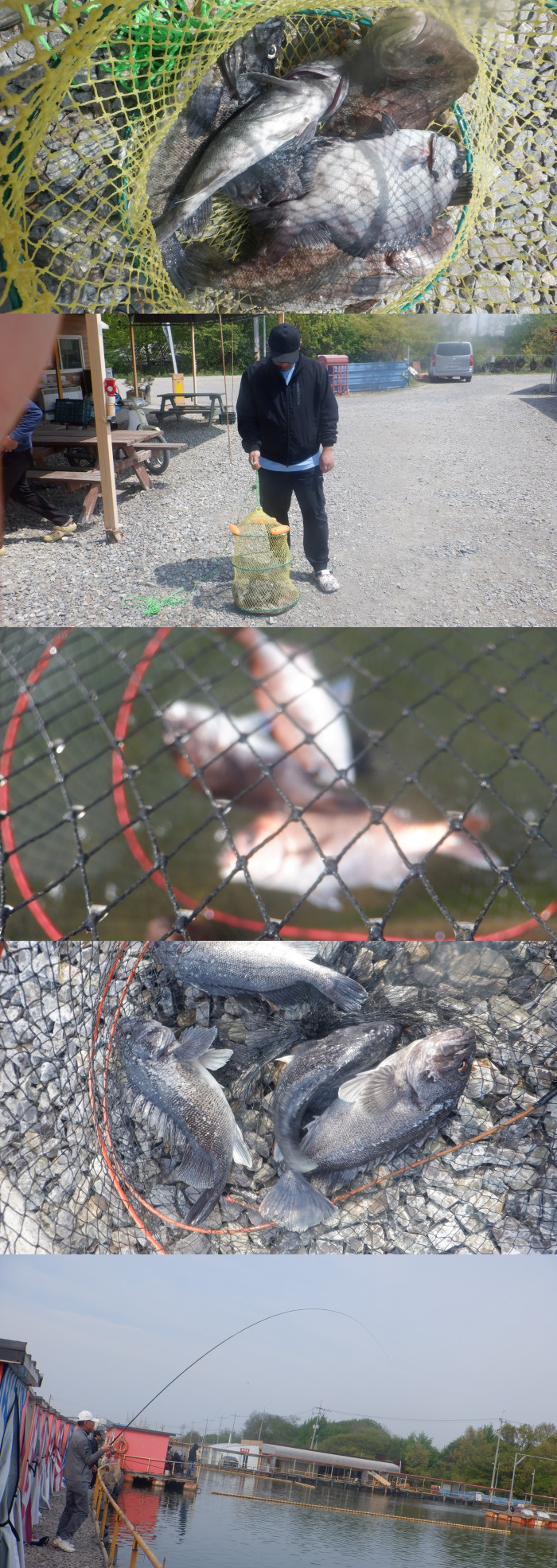 06eeae79b52b309d486460cb7491639f_1777449