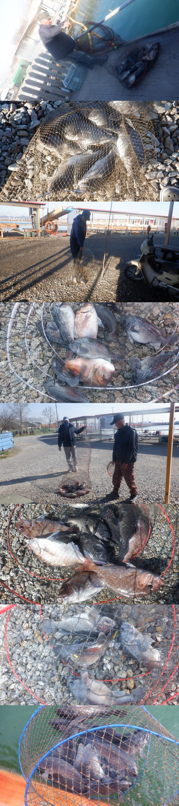 0f3a84be98dcd109cd1eaffd6e94ba40_1775635