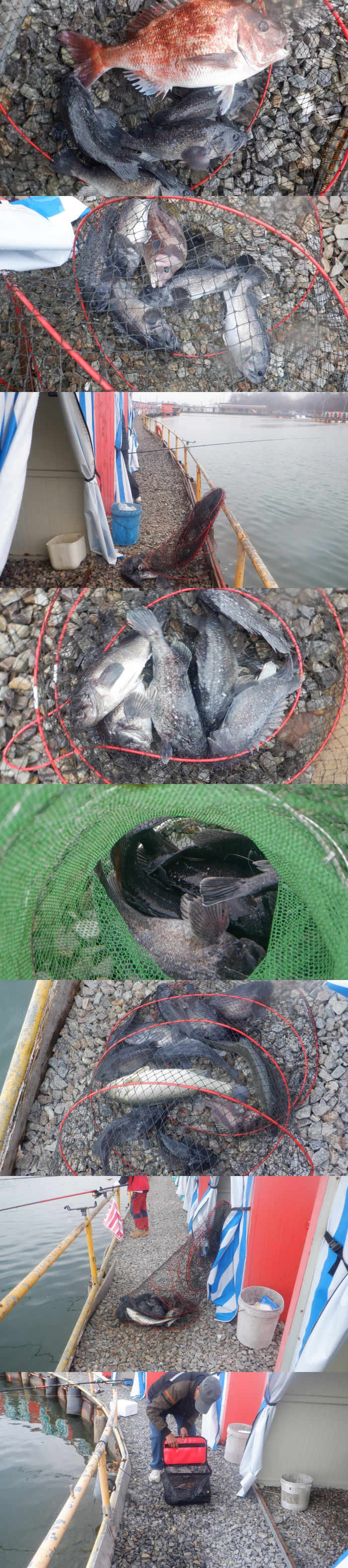 1ca09be6beb117098a7f683c7152157c_1775806