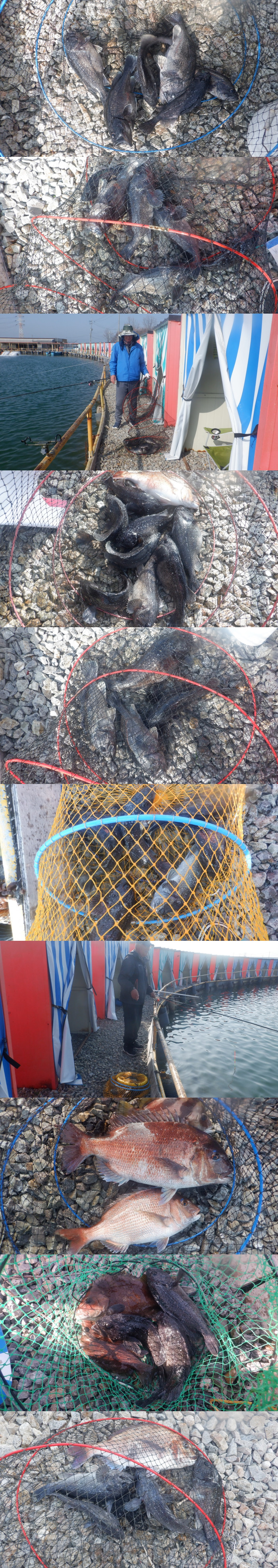 1ca09be6beb117098a7f683c7152157c_1775901