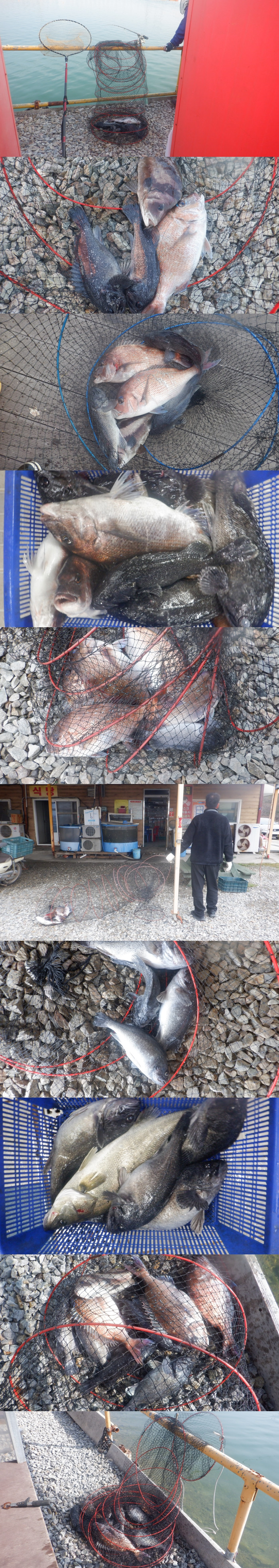 1ca09be6beb117098a7f683c7152157c_1775901