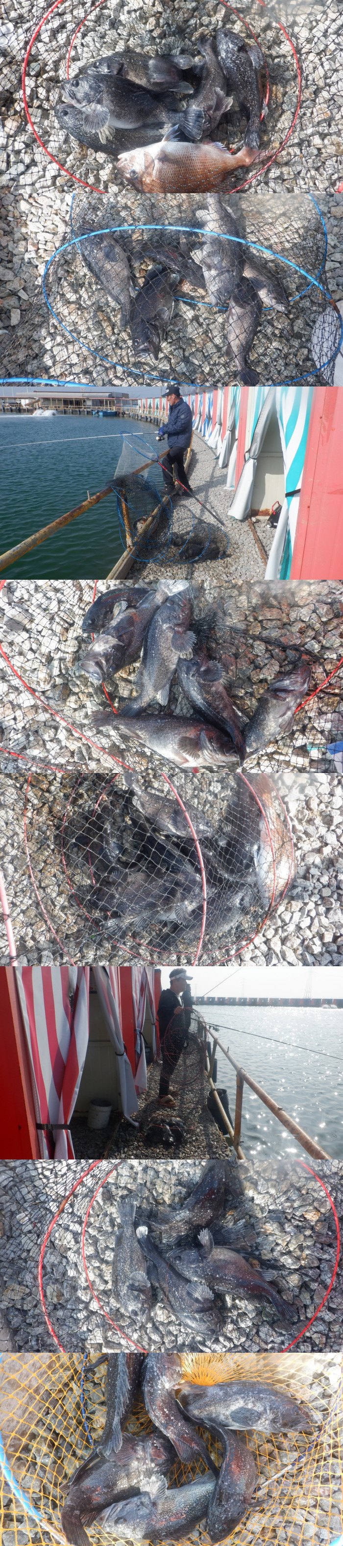 1ca09be6beb117098a7f683c7152157c_1775901