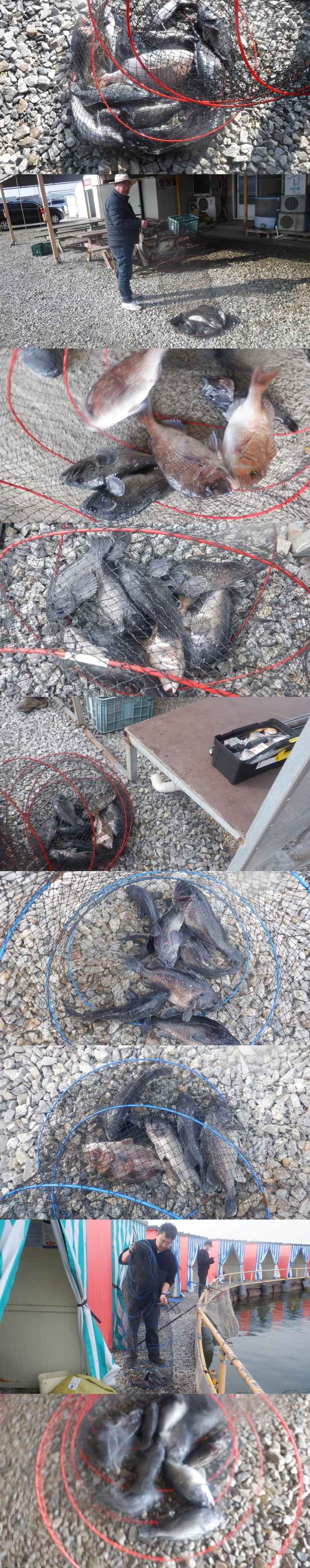 29dddf476a5ad32bd1ba39a4577617a1_1775292