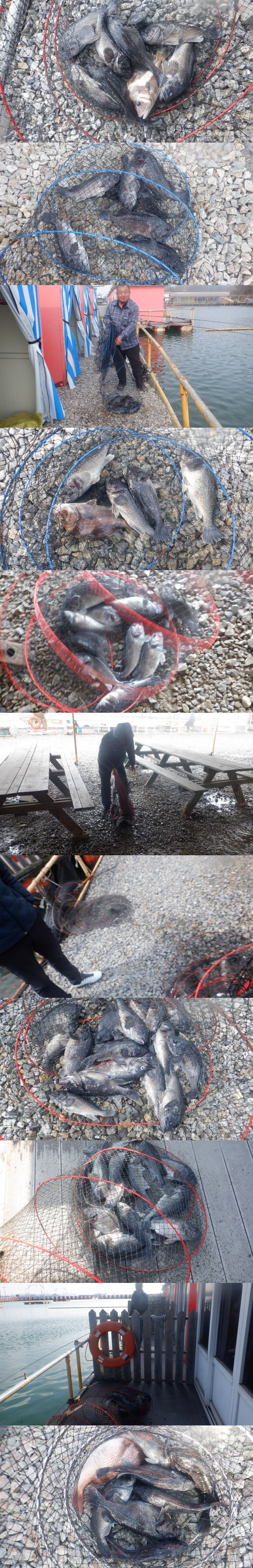 29dddf476a5ad32bd1ba39a4577617a1_1775292