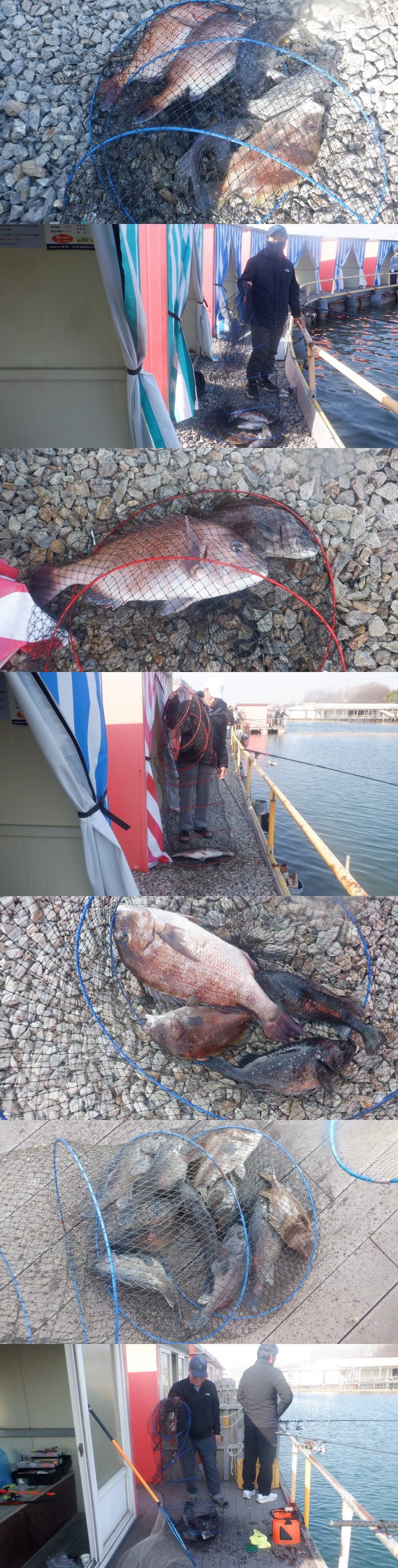 29dddf476a5ad32bd1ba39a4577617a1_1775376