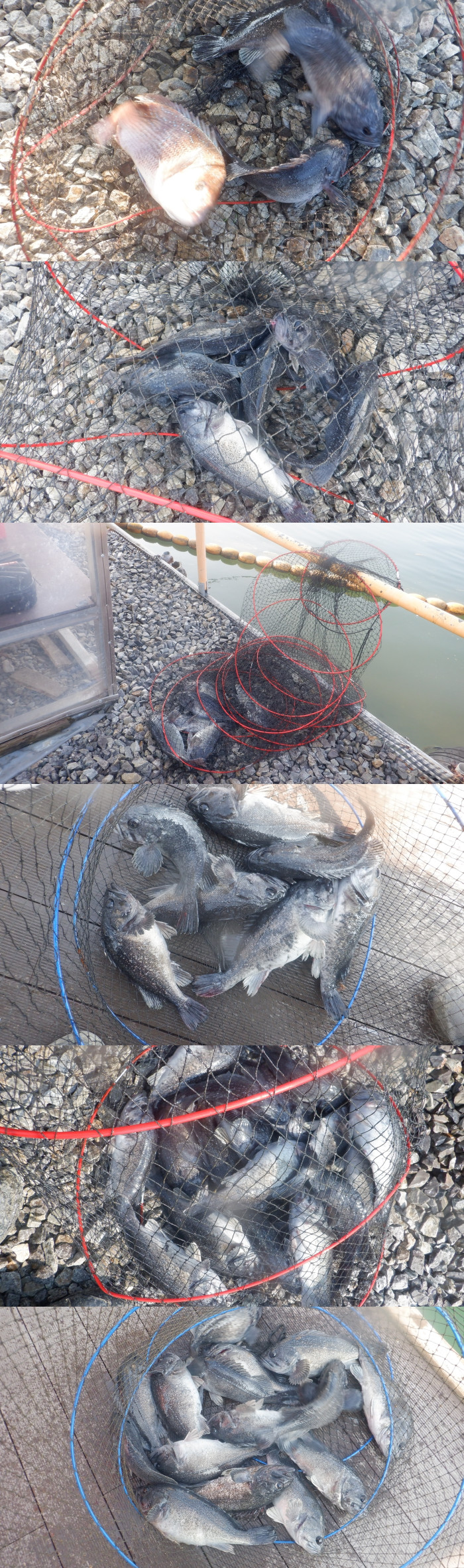 45e60f0c43bf01da26ccc95df4e0fb42_1775120