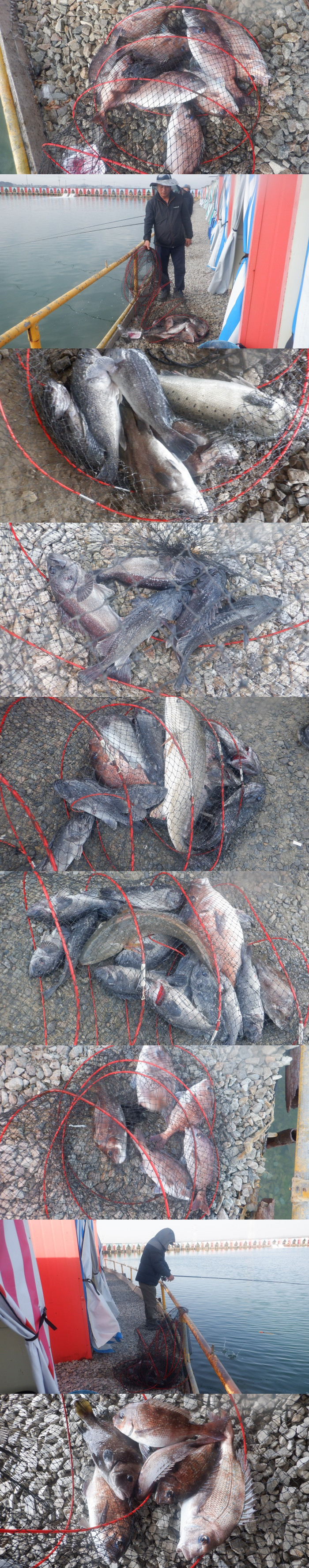 718c138aee72d49f6b1bd55462825437_1776758