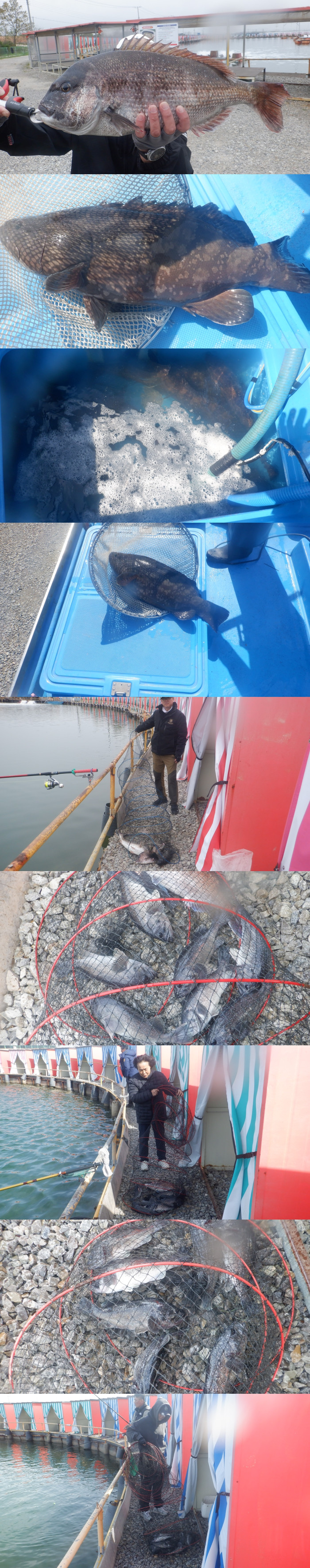 7392145aad33a8669334a37b81bc5442_1776930