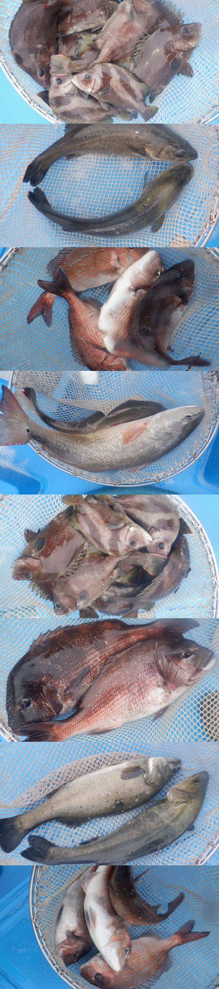 7d456aa7ff012cdc386ea3c791b33d83_1775086