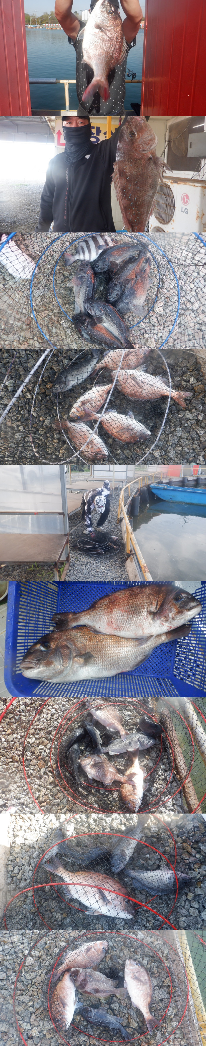 8399557bf529e045b7c98612ee93c948_1776584