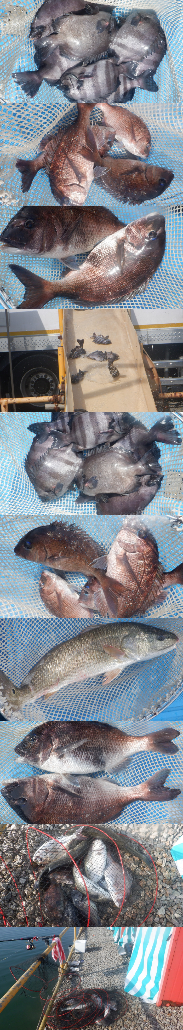 8a878ce0221eef512eec503051c49667_1776152