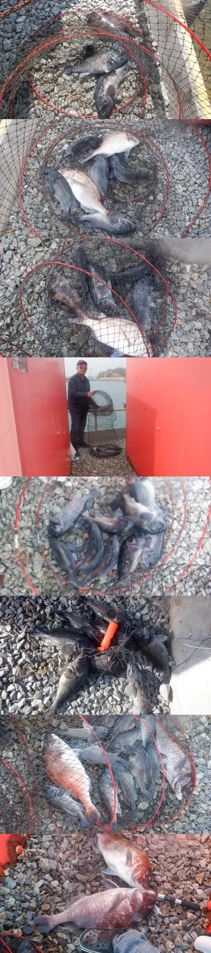 8a878ce0221eef512eec503051c49667_1776152