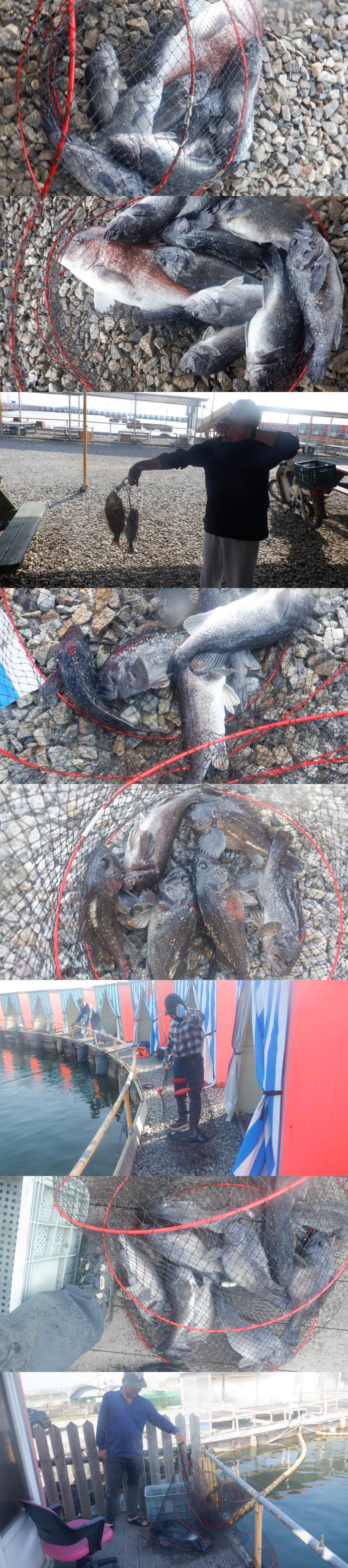 8a878ce0221eef512eec503051c49667_1776241