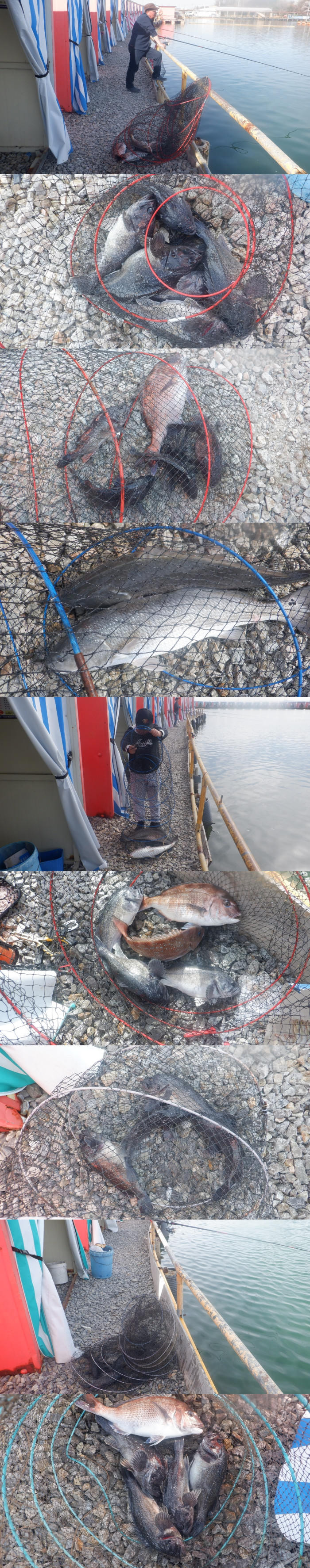 a59b17b4cbf2de8e6f22dfd599368679_1775984